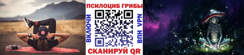 цена   Красный Сулин  Псилоцибиновые грибы мицелий 